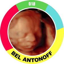8&ordm;
<b>Bel Antonoff</b>
<i style="color:#FB0F52">810 pts</i>