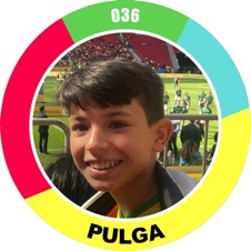 3&ordm;
<b>Pulga</b>
<i style="color:#FB0F52">560 pts</i>